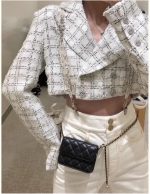 Mini Belt Bag / Crossbody / Waist Purse - Image 4